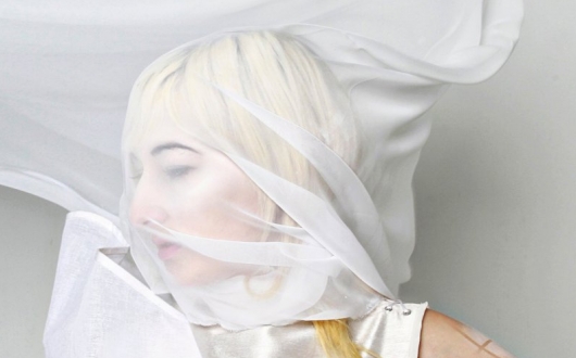 zola-jesus--conatus-11938-530x330