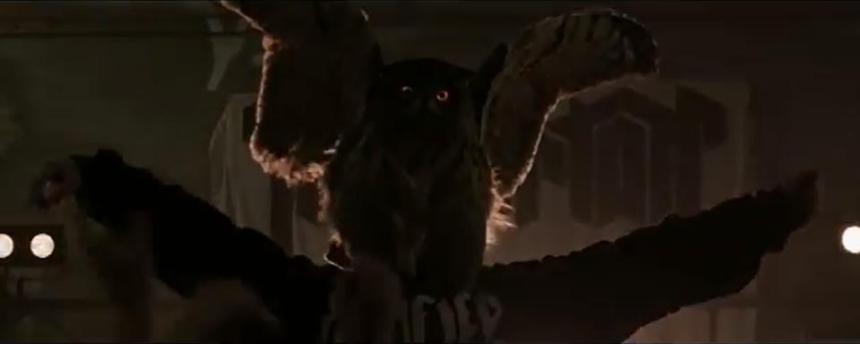 480315_10200805562812237_1058570483_n