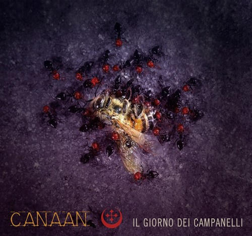 canaan