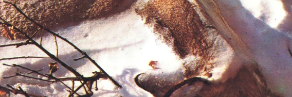 paradise-belongs-to-you-cover