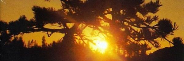 with-tragedies-adorned-cover