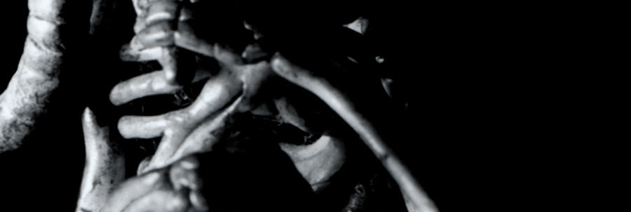 SKINLESS - Foreshadowing our Demise