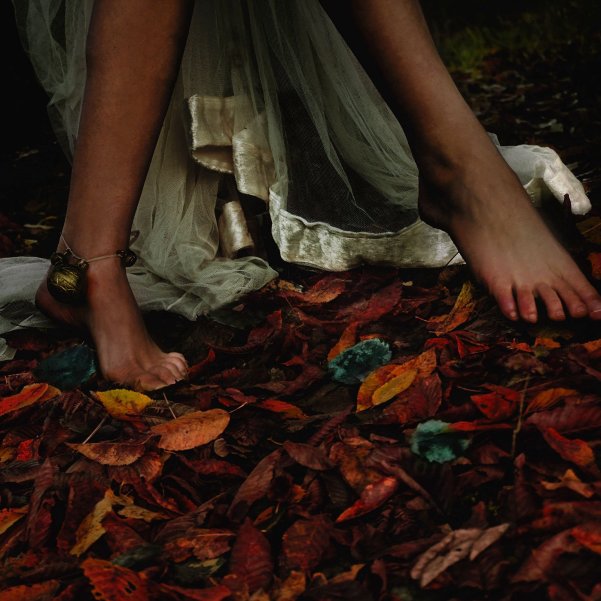 e-l-r-vexier-01 (1)8508540059122562722.