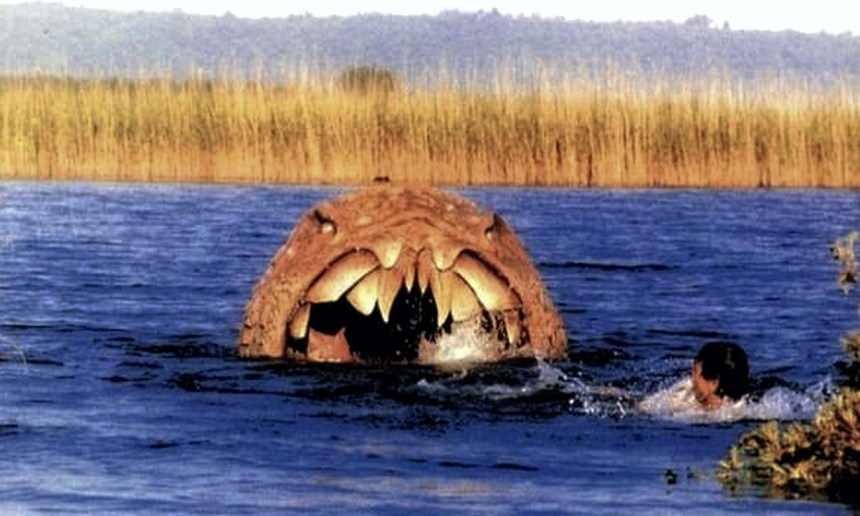 shark-rosso-nelloceano_01