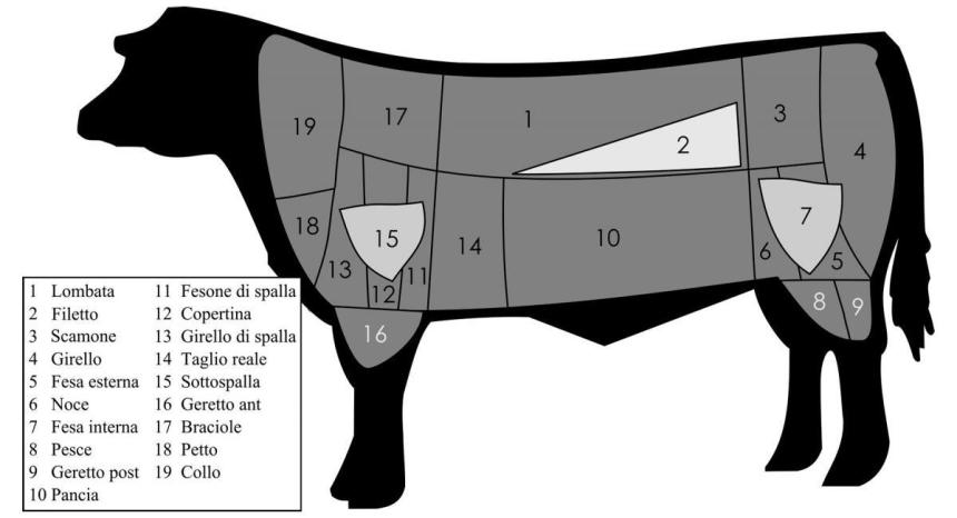 schema-tagli-di-carne-bovini-1200x651