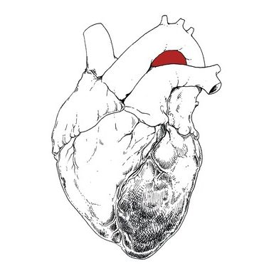 swans-the-beggar-Cover-Art